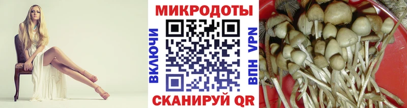 Галлюциногенные грибы мухоморы Ачхой-Мартан